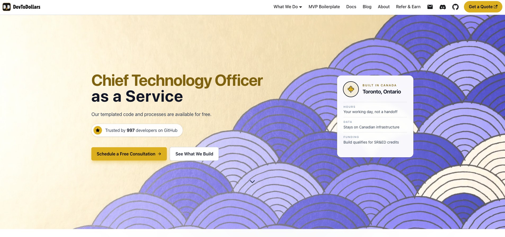 Preview of the DevtoDollars website